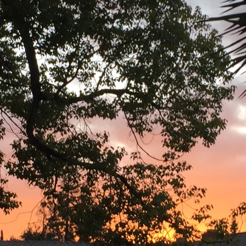 Meet your Posher, Nima